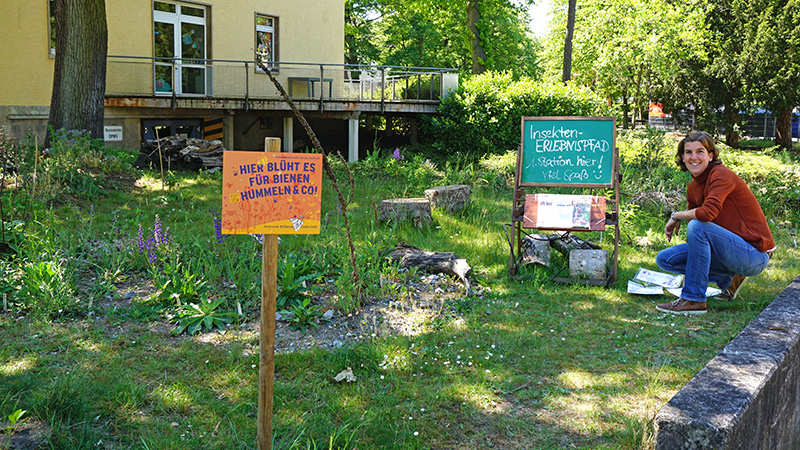 Wildblumenbeete, das Schild 