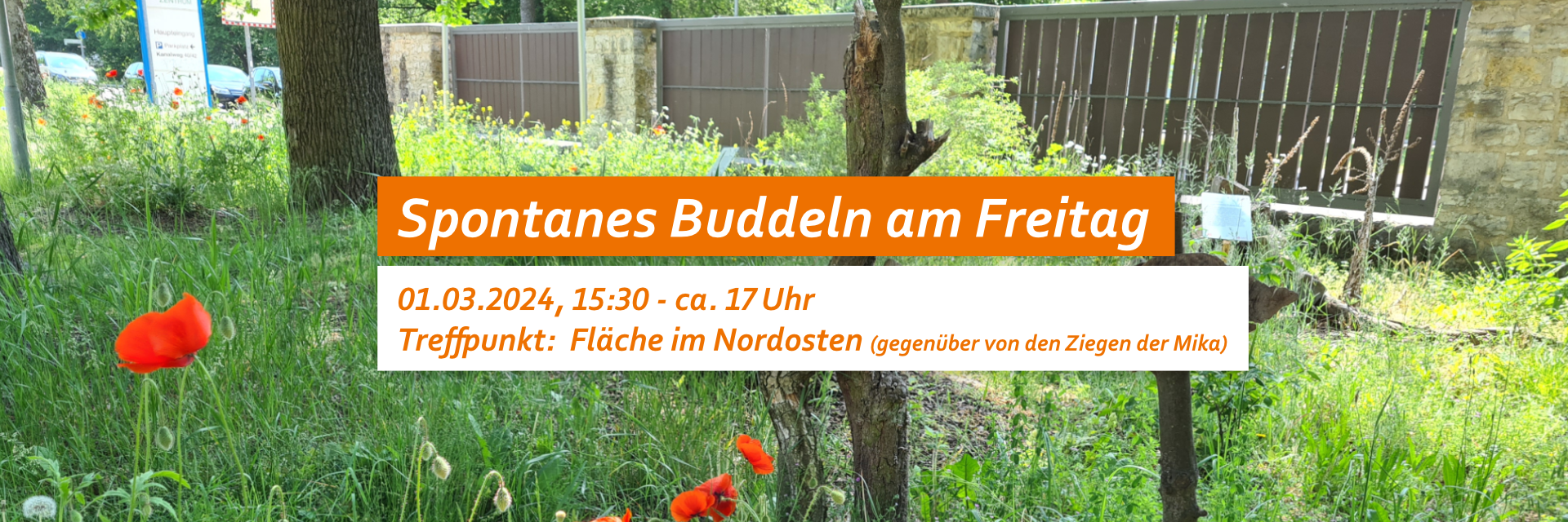 Spontanes Buddeln am Freitag, 01.03.2024