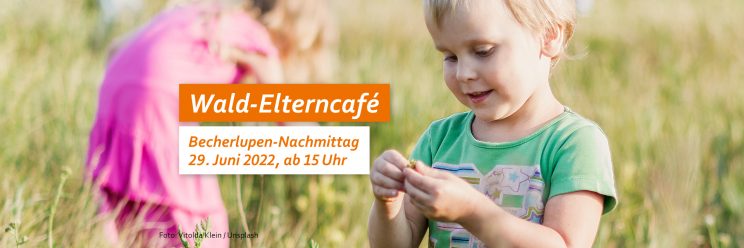Ein Kind betrachtet eine Pflanze. Text: Wald-Elterncafé, Becherlupen-Nachmittag