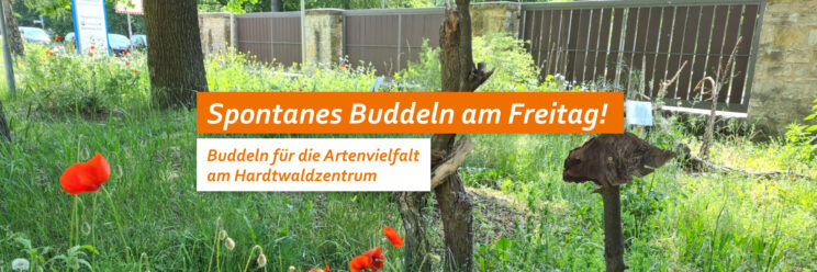 Foto: Wiese mit Mohnblumen und Baumstämmen. Text: Spontanes Buddeln am Freitag