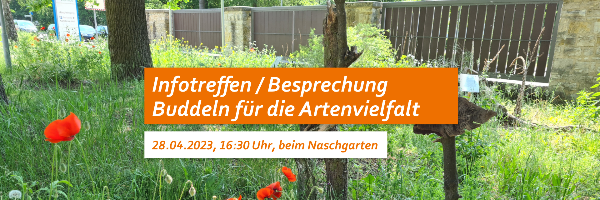 Wiese mit Klatschmohn und Totholz. Text: Infotreffen / Besprechung Buddeln für die Artenvielfalt. 28.04.23, 16:30 Uhr, beim Naschgarten